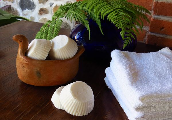 shampoo solido de coco_bromelialifestyle_optimizada